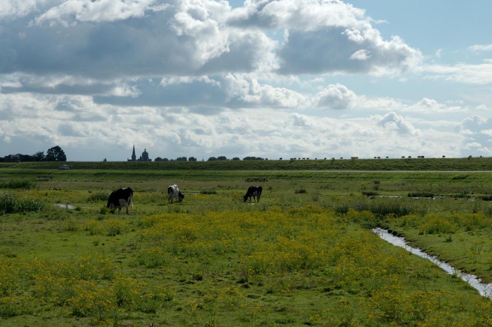 B&B Posthoorn Hoorn  Exteriör bild